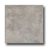 Earth Werks Earth Werks Madrid Stone Ams823 Vinyl Flooring