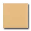 Daltile Daltile Liners Flat 1 / 2 X 6 Luminary Gold Tile  &  Stone