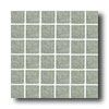 Daltile Daltile Design Porcelain Unpolished Mosaic Vivanite Tile  &  Stone