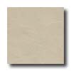Bella Cera Bella Cera Slate 6 X 6 Ivory Tile  &  Stone