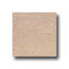 Interceramic Interceramic Valencia 12 X 12 Matte Noce Tile  &  Stone
