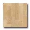 Harris-Tarkett Harris-tarkett Foundations Maple Natural Hardwood Flooring