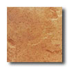 Daltile Daltile Ardesia 12 X 12 Giallo Tile  &  Stone