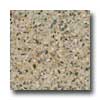 Santa Regina Santa Regina Architectural 16 X 16 (polished) Almond Terrazzo Ti