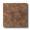 American Olean American Olean Vallano 6 X 6 Dark Chocolate Tile  &  Stone