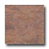 Pastorelli Pastorelli Sandstone 6 X 6 Vila Velha Tile  &  Stone