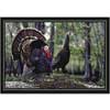 Milliken Milliken Eddie Leroy Collection 3 X 4 Spring Turkey Area Rugs