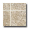 Tarkett Tarkett Preference Plus Nt - Mountain Side 6 Taupestone Vinyl Fl
