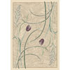 Milliken Milliken Dew 3 X 4 Opal Amethyst Area Rugs