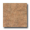 Tarkett Tarkett City View - Ceramica Boulevard 12 Burnt Bronze Vinyl Flo