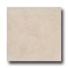 Tesoro Tesoro Colorado 8 X 12 Beige Tile  &  Stone