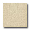 Armstrong Armstrong Medintech Homogeneous Carthamus Champagne Vinyl Floori
