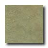 Eliane Eliane Athena 16 X 16 Olive Tile  &  Stone