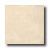 Armstrong Armstrong Exotic Room 9 X 13 Silhouette Tile  &  Stone