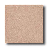 Crossville Crossville Cross-colors A 6 X 6 Polished Nutmeg Tile  &  Stone