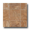 Armstrong Armstrong Starstep - Hastings 6 Butterscotch Vinyl Flooring