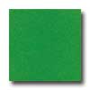 Amtico Amtico Standard Stardust 18 X 18 Stardust Grass Vinyl Flooring