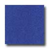 Amtico Amtico Standard Stardust 18 X 18 Stardust Ocean Vinyl Flooring