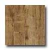 Amtico Amtico Burnt Chestnut 6 X 36 Burnt Chestnut Vinyl Flooring