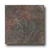 Daltile Daltile Fuouco 6 X 6 Nero Tile  &  Stone