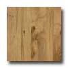 Amtico Amtico Elm 6 X 36 Elm Vinyl Flooring