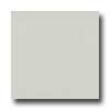 Amtico Amtico Pure Plain 12 X 12 Pure Plain Putty Vinyl Flooring