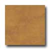 Amtico Amtico Standard Stained Concrete 18 X 18 Stained Concrete Ochre