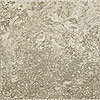 Megatrade Corp. Megatrade Corp. Terre 18 X 18 Noce Gray Tile  &  Stone