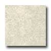 Amtico Amtico Evora Stone 12 X 18 Evora Stone Vinyl Flooring