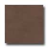 Amtico Amtico Standard Stained Concrete 12 X 12 Stained Concrete Chocol