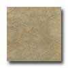 Daltile Daltile Cliff Pointe 18 X 18 Moss Tile  &  Stone