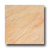 Cerim Ceramiche Cerim Ceramiche Stone Age 13 X 13 Panther Tile  &  Stone