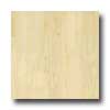 Amtico Amtico Ivory Maple 4 1 / 2 X 36 Ivory Maple Vinyl Flooring