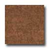 Amtico Amtico Veneto Rosso 12 X 18 Veneto Rosso Vinyl Flooring