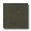 Amtico Amtico Lunar 12 X 12 Lunar Bronze Vinyl Flooring