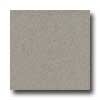 Amtico Amtico Microspec 12 X 12 Microspec Mortar Vinyl Flooring