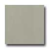 Amtico Amtico Premium Innovation Pressplate Pressplate Mortar Vinyl Flo
