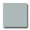 Amtico Amtico Pure Plain 12 X 12 Pure Plain Smoke Vinyl Flooring