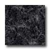 Amtico Amtico Florentine Marble 12 X 12 Florentine Marble Black Vinyl F