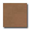 Amtico Amtico Standard Stained Concrete 12 X 12 Stained Concrete Tan Vi