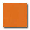 Amtico Amtico Standard Stardust 18 X 18 Stardust Juice Vinyl Flooring