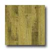Amtico Amtico Reclaimed Chestnut 4 1 / 2 X 36 Reclaimed Chestnut Vinyl Fl