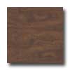 Earth Werks Earth Werks Warwick Plank Aw625 Vinyl Flooring
