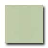 Amtico Amtico Pure Plain 12 X 12 Pure Plain Dew Vinyl Flooring