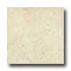 Amtico Amtico Tivoli 12 X 18 Tivoli Stone Vinyl Flooring