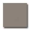 Amtico Amtico Pure Plain 12 X 12 Pure Plain Mud Vinyl Flooring