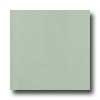 Amtico Amtico Premium Innovation Pressplate Pressplate Kelp Vinyl Floor