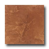 Daltile Daltile Navelli 10 X 13 Rojo Coral Tile  &  Stone