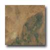 Amtico Amtico Slate 12 X 12 Autumn Slate Vinyl Flooring
