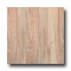 Amtico Amtico Golden Elm 6 X 36 Golden Elm Vinyl Flooring